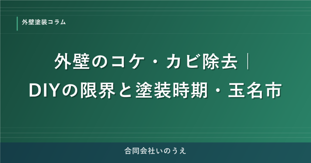 外壁のコケ・カビ除去｜DIYの限界と塗装時期・玉名市